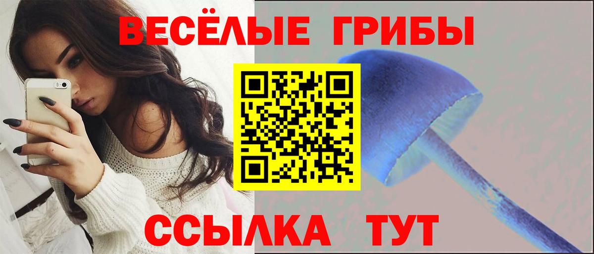 Галлюциногенные грибы Psilocybine cubensis Тамбов