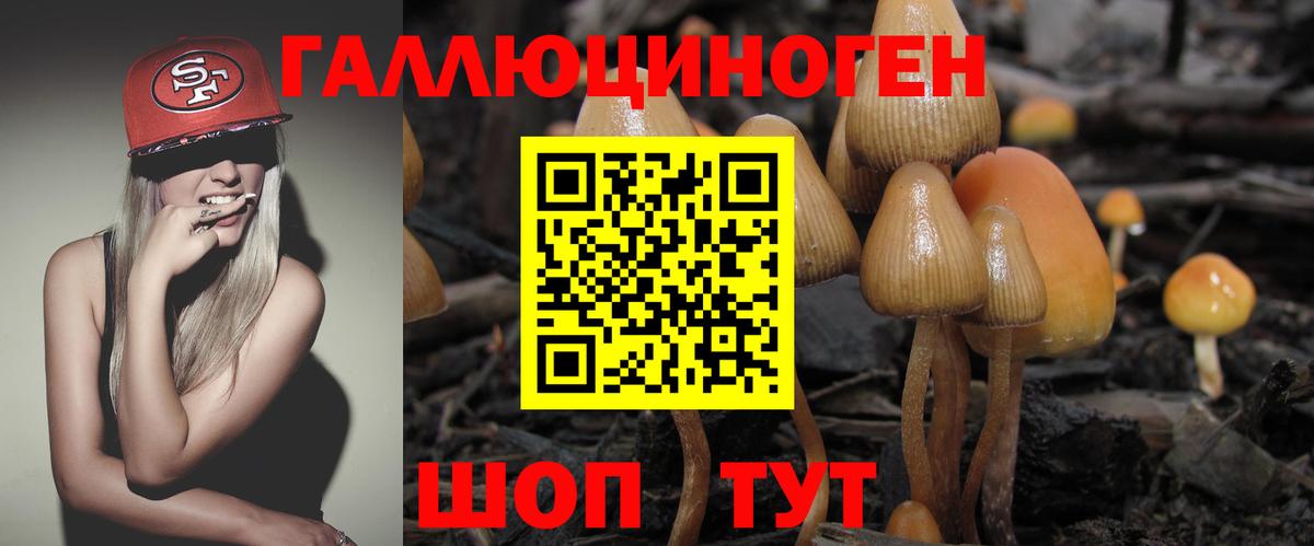 Псилоцибиновые грибы Psilocybe  Вход с VPN  Тамбов 