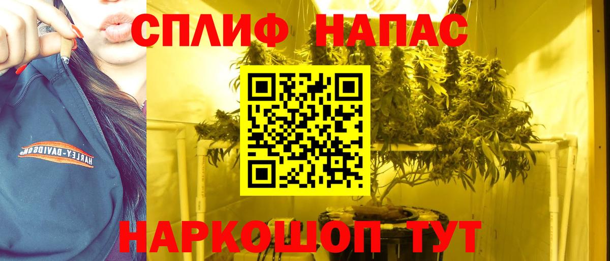 Тамбов  МАРИХУАНА конопля  Канабис SATIVA & INDICA  Шишки марихуана гибрид  Вход с VPN 